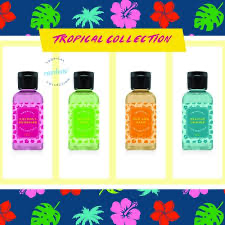 Rainbow Vacuum Summer Fragrance Collection 4 Pack assorted Genuine Rainbow Product